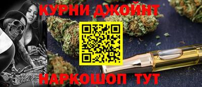 стафф Дубна