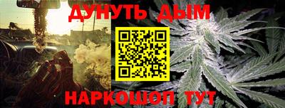 стафф Дубна