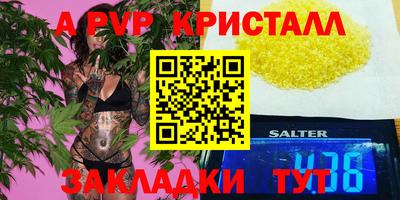 стафф Дубна