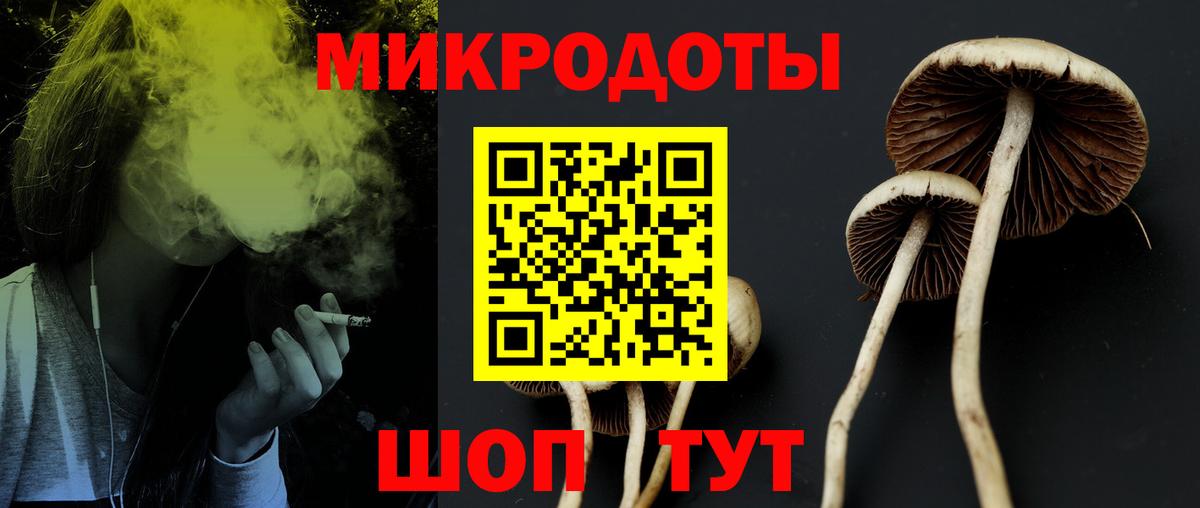 Королёв  Галлюциногенные грибы MAGIC MUSHROOMS  Вход с VPN  Псилоцибиновые грибы Magic Shrooms 